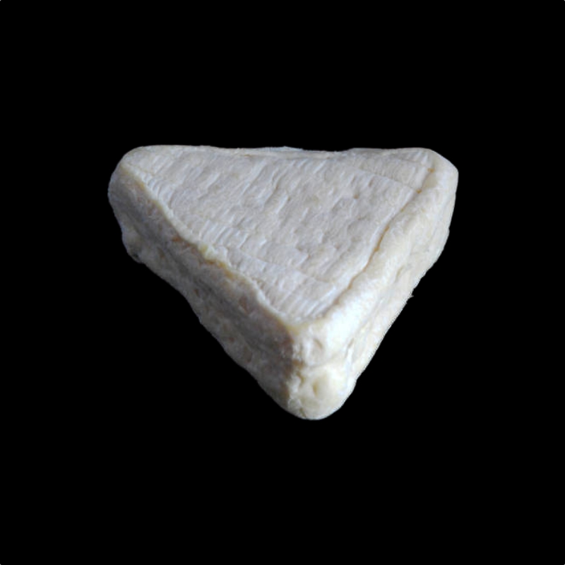 P1373-tricorne-perigord