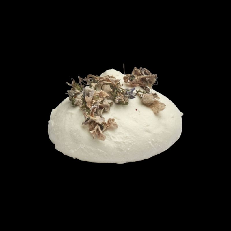 xr:d:DAFPT5NcLrM:8,j:38318945433,t:22101808