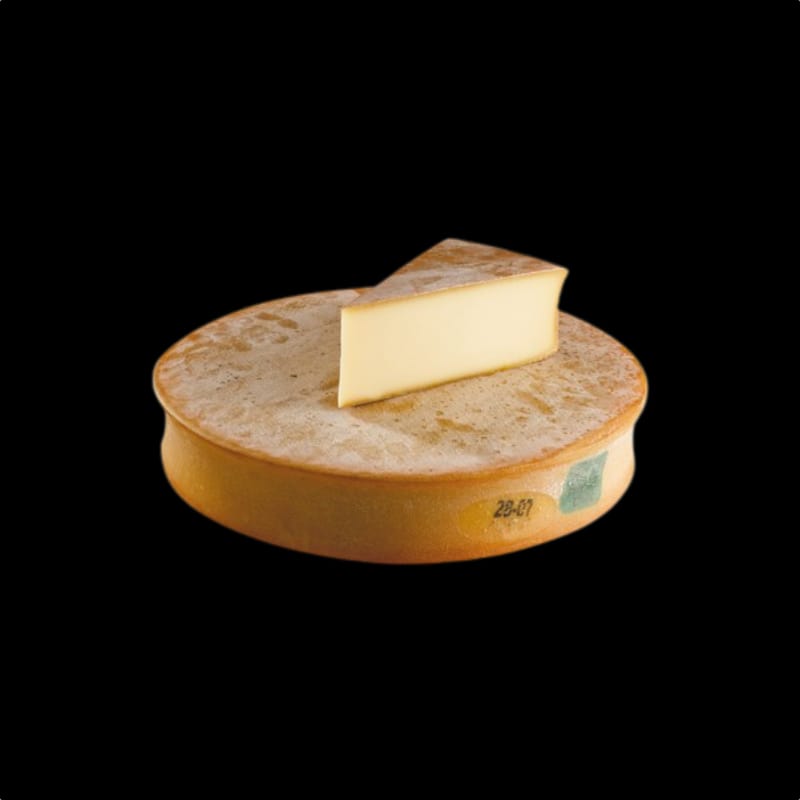 P616-Abondance-AOP-meule-les-fromagers.com_